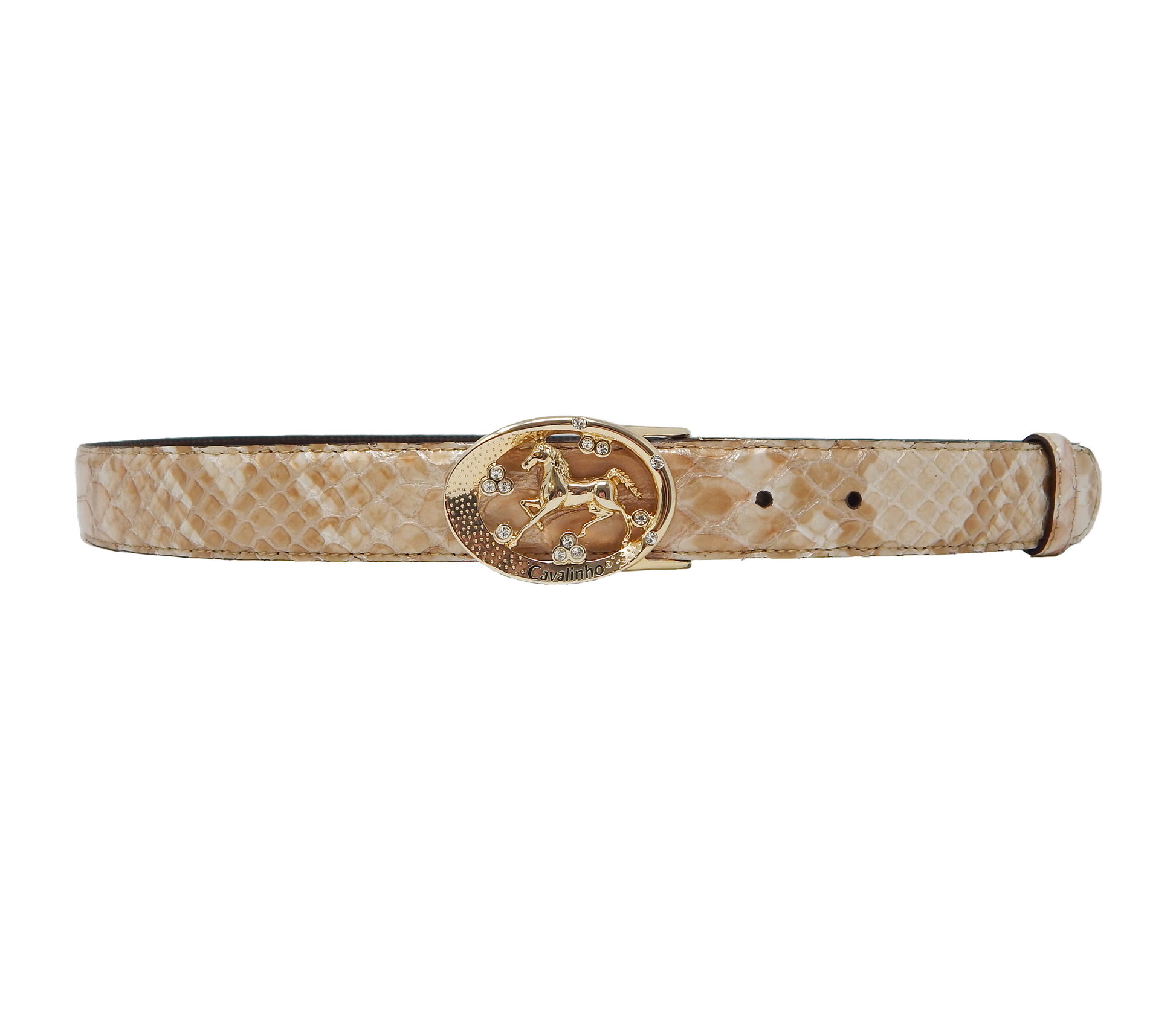 #color_ Beige Gold | Cavalinho Oval Horse Leather Belt - Beige Gold - 58010817.05_1