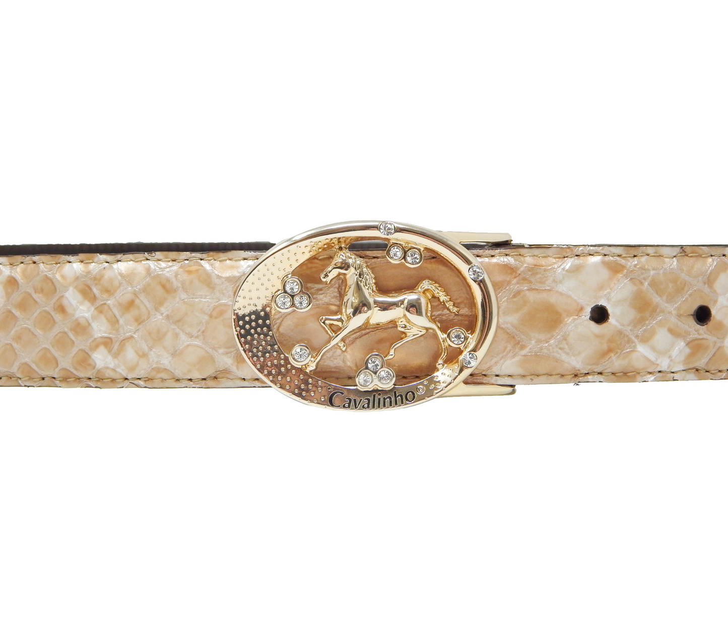 #color_ Beige Gold | Cavalinho Oval Horse Leather Belt - Beige Gold - 58010817.05_3