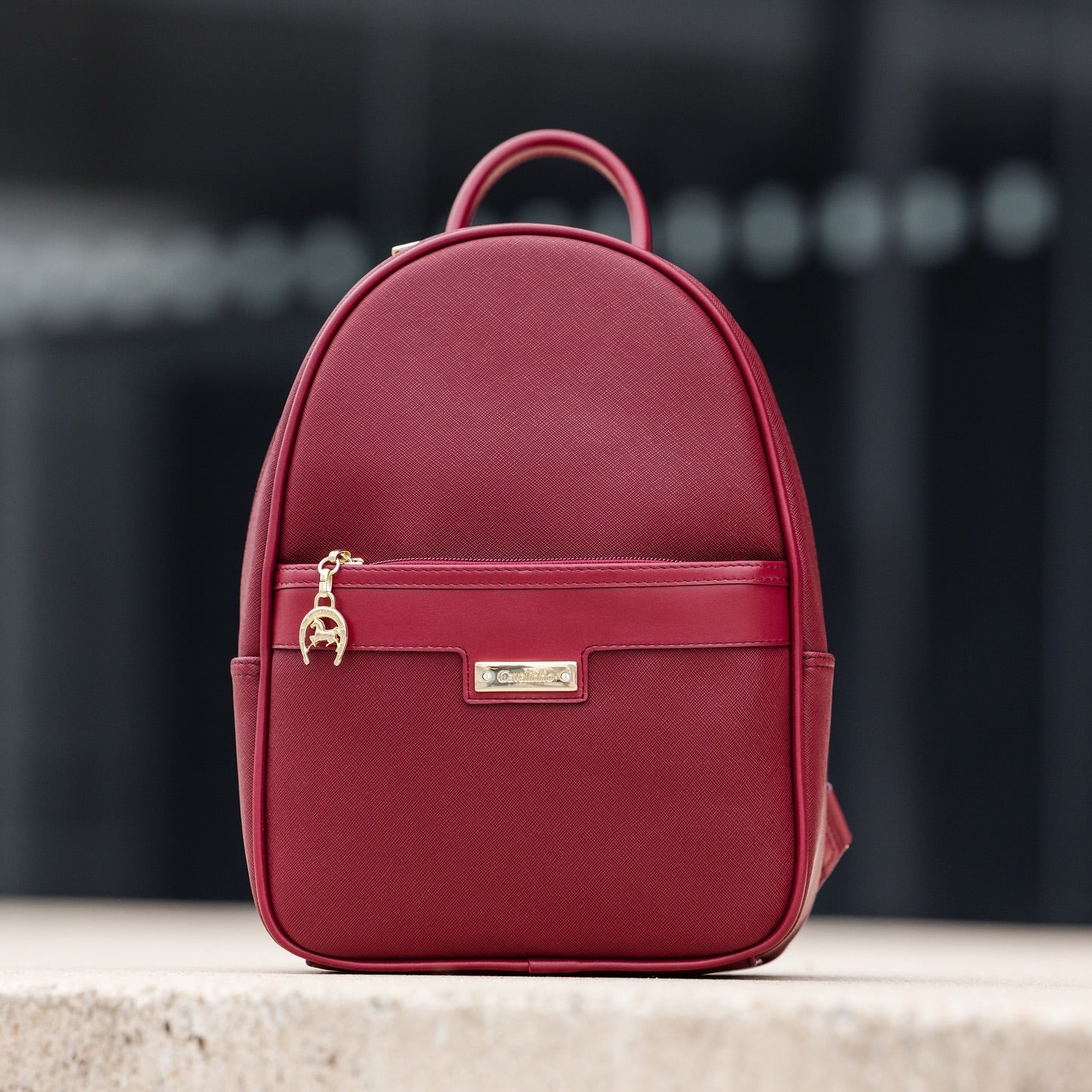 Cavalinho La Vie Burgundy Designer Backpack for Women SKU 16190606.15 #color_burgundy