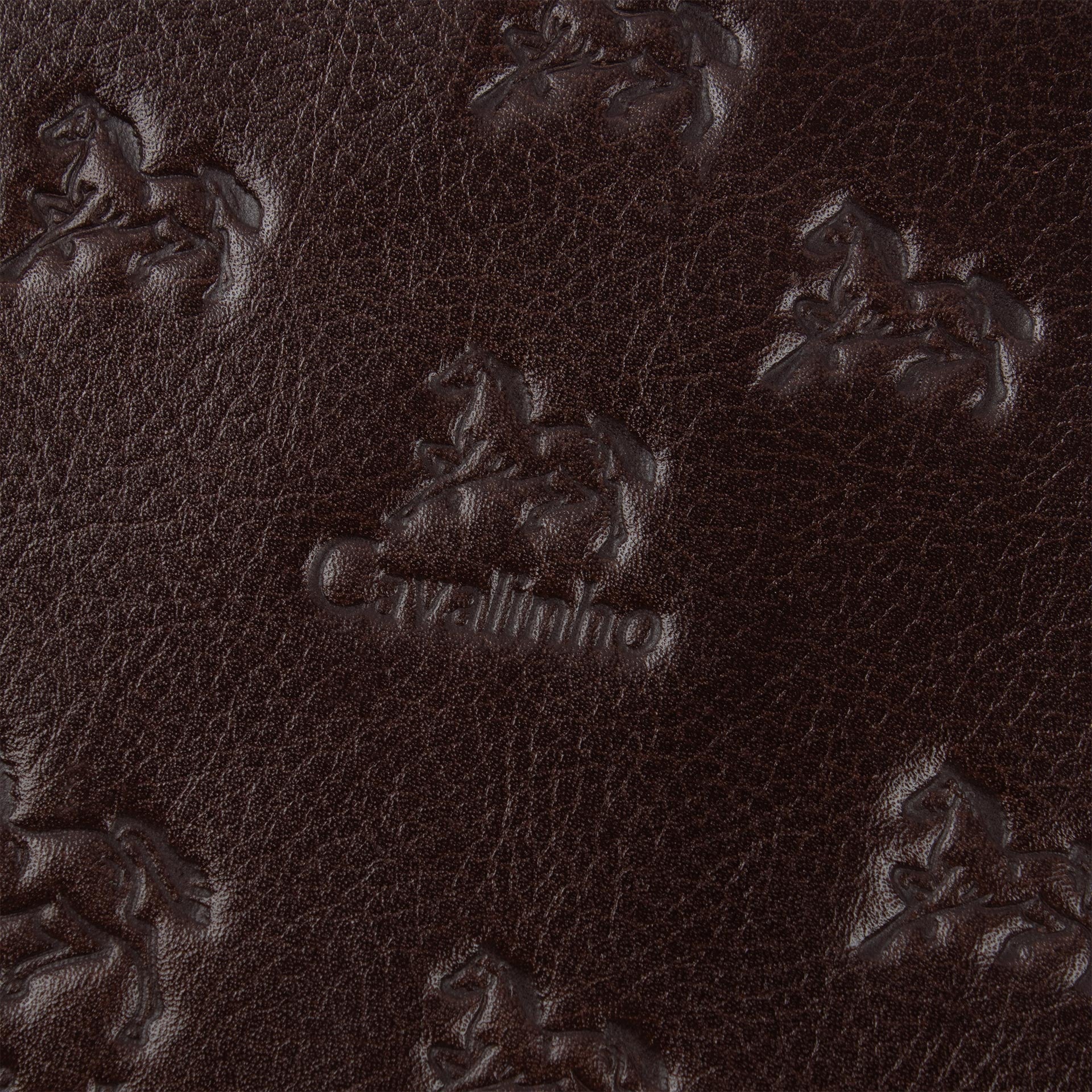 Cavalinho Cavalo Lusitano Brown Leather Tote Bag for Women SKU 18090410.02 #color_brown