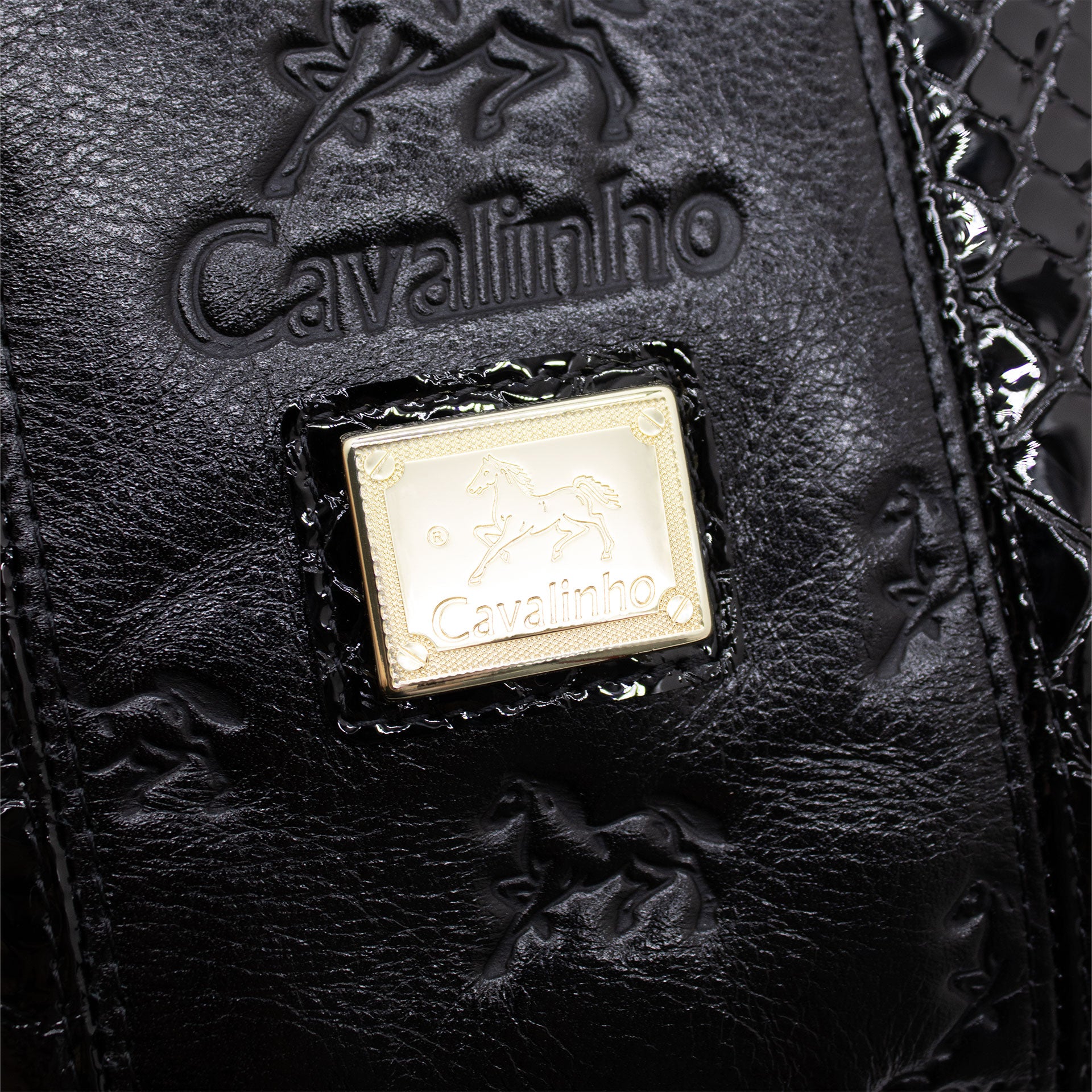 Cavalinho Honor Black Backpack Purse for Women SKU 18250548.01 #color_Black