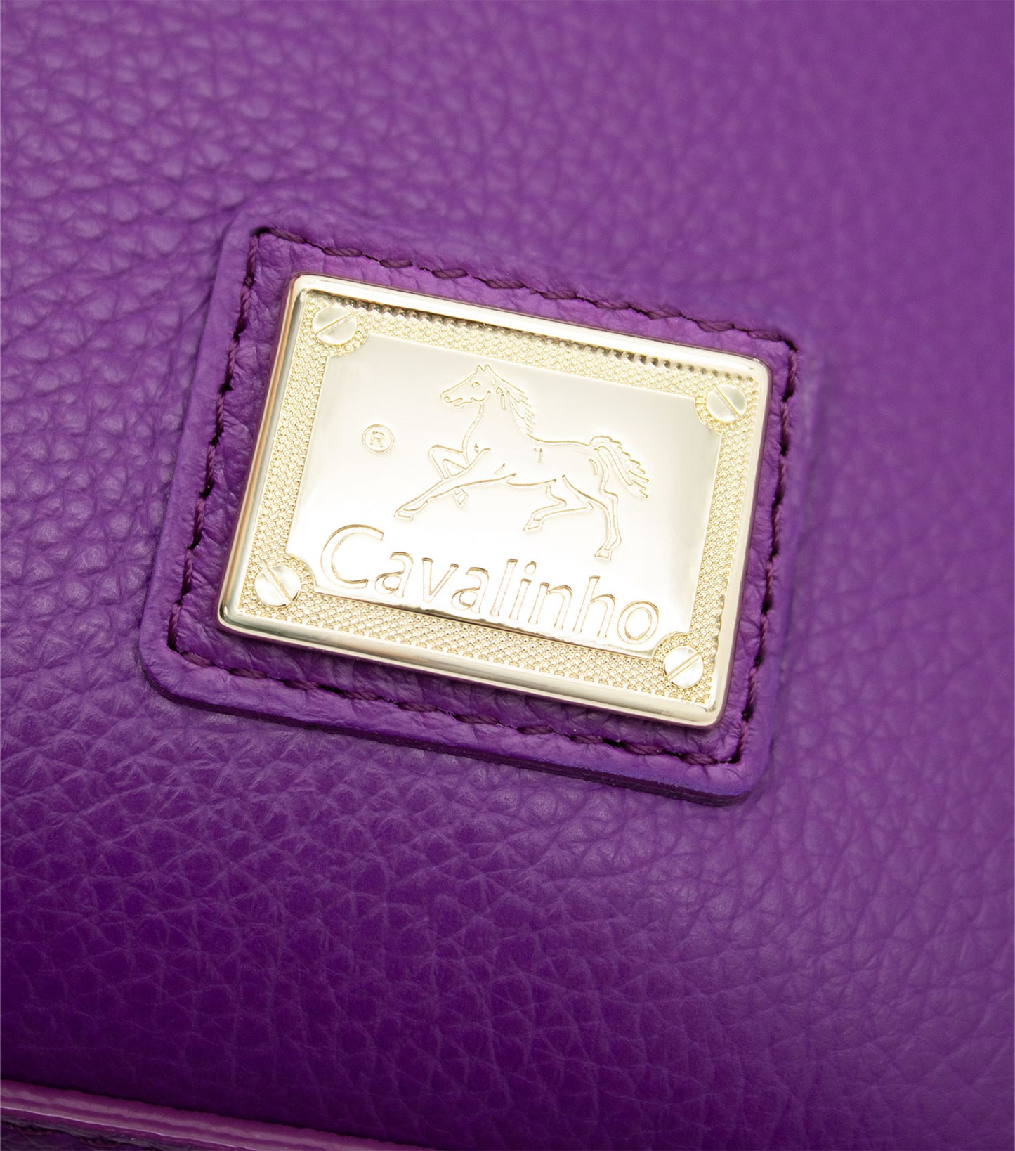 Cavalinho Muse Leather Handbag - Purple - 18300515.40_P05
