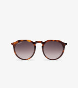 Cavalinho Sunglasses City for Men and Women SKU 38501523.02 #color_brown