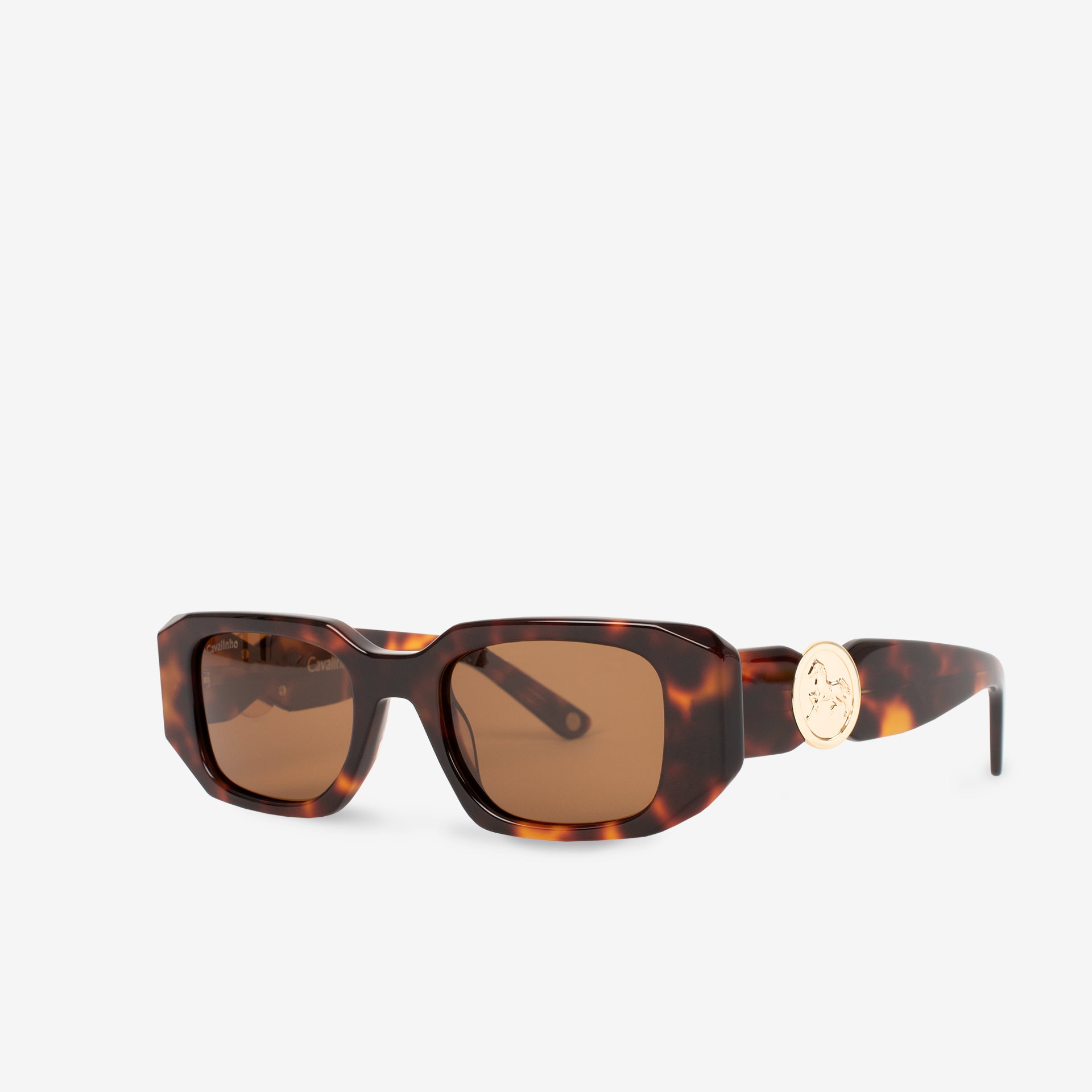 Cavalinho Retro Brown Designer Sunglasses for Women SKU 38501723.02 #color_brown