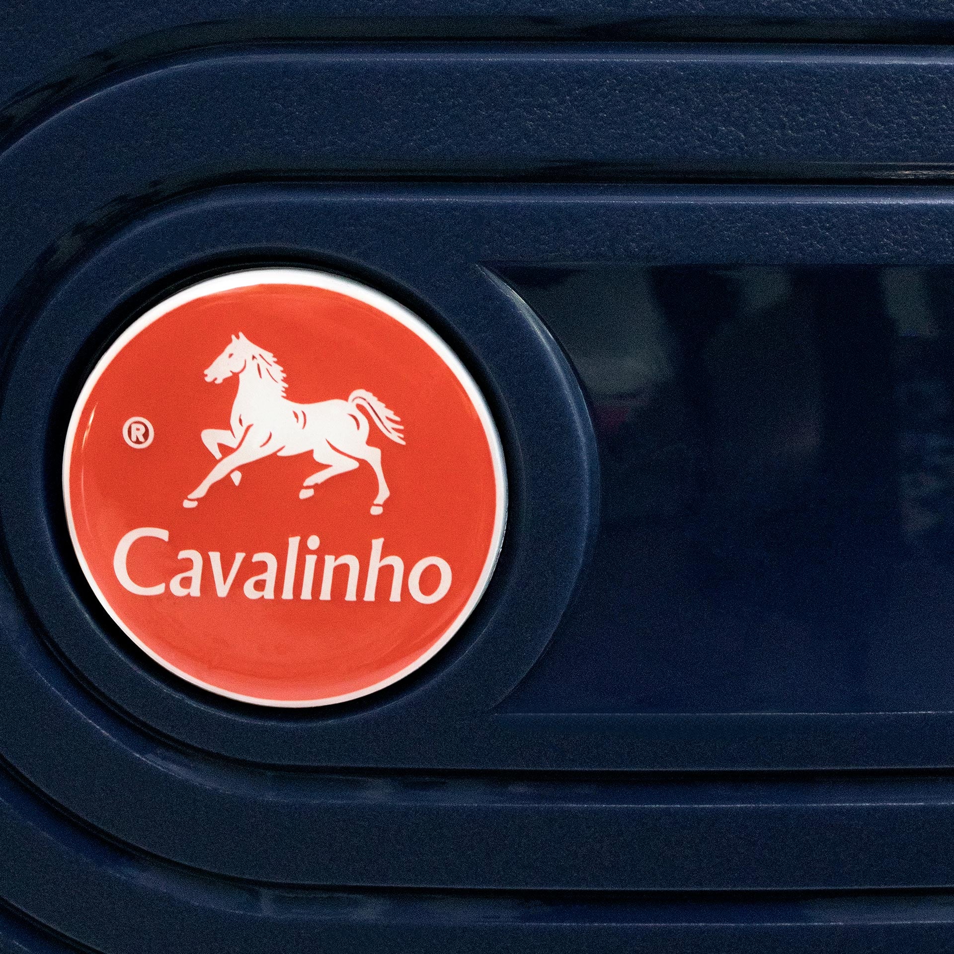 Cavalinho Colorful Check-in Hardside Luggage (24") SKU 68020004.03.24 #color_Navy