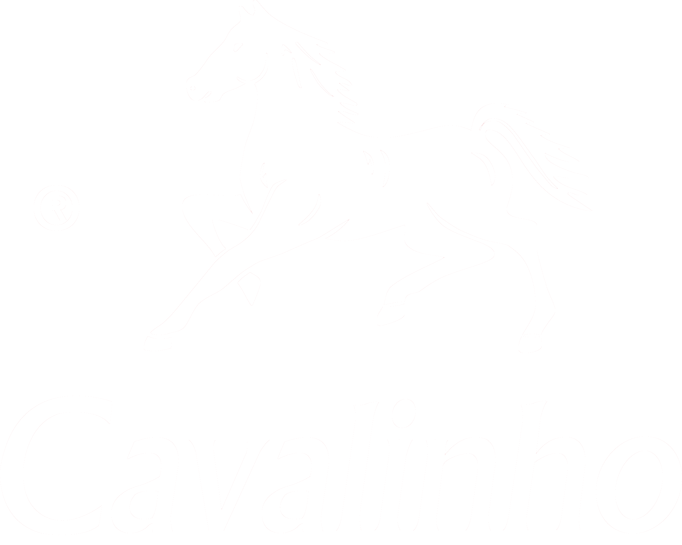 WHITE -  Cavalinho